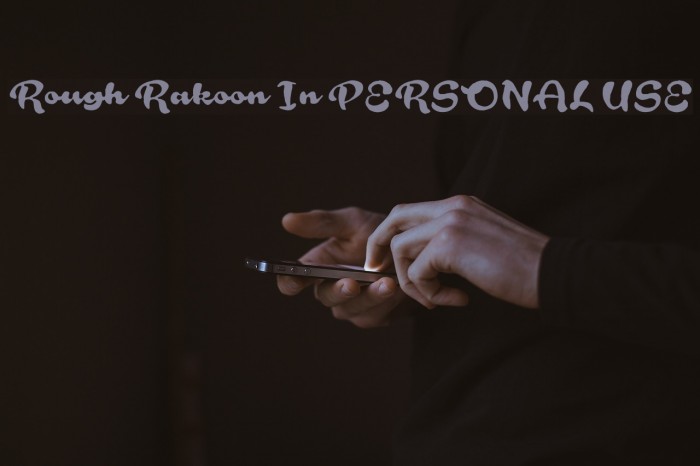 Rough Rakoon In PERSONAL USE Example 3