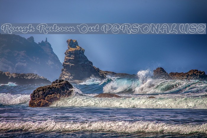 Rough Rakoon Out PERSONAL USE Example 2