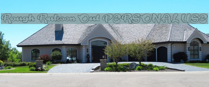 Rough Rakoon Out PERSONAL USE Example 3