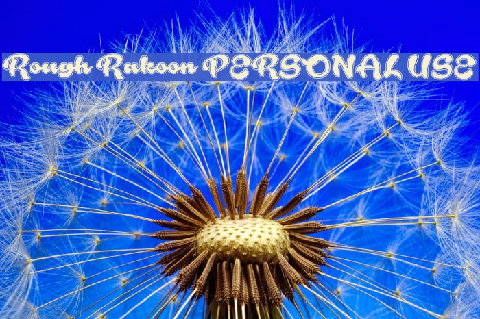Rough Rakoon PERSONAL USE Font examples