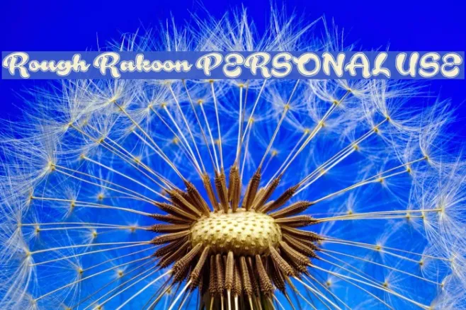 Rough Rakoon PERSONAL USE Example 2