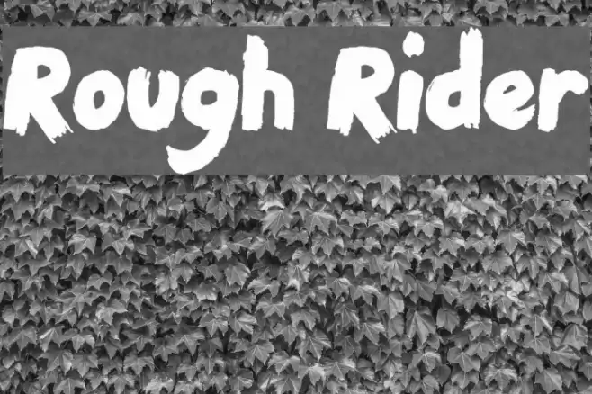 Rough Rider Font examples