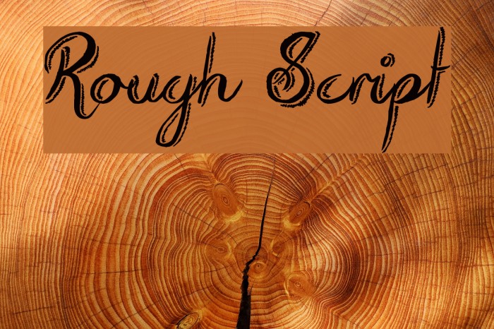 Rough Script Font examples