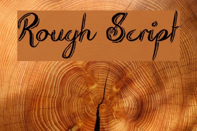 Rough Script Example 2
