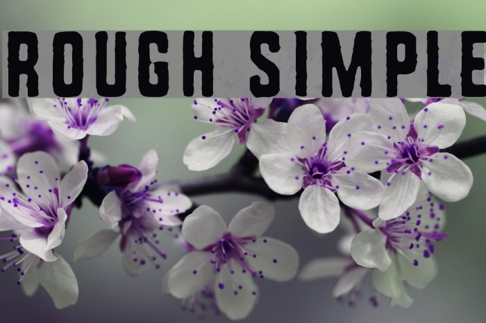 Rough Simple Font examples
