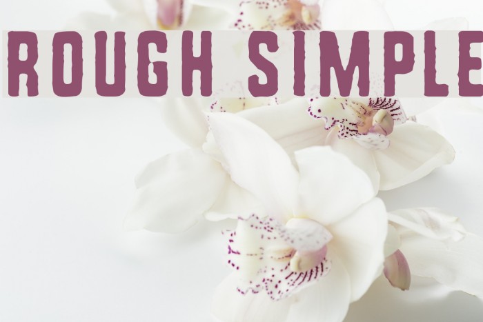 Rough Simple Font examples