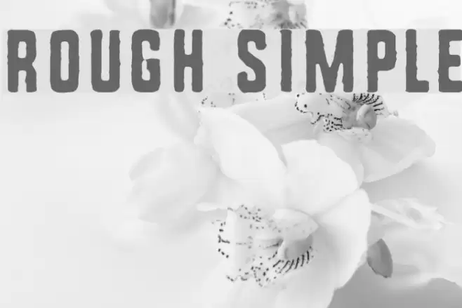 Rough Simple Font examples