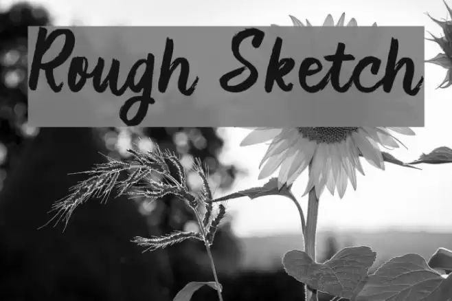 Rough Sketch フォント examples
