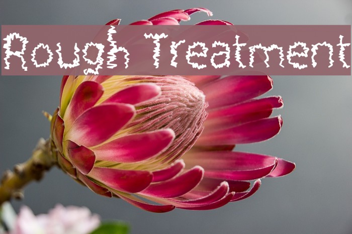 Rough Treatment Font examples