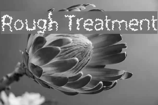 Rough Treatment Polices examples
