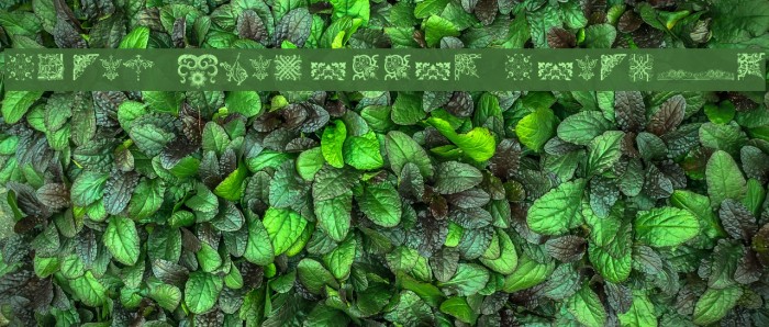 Rough Vignettes Regular Example 1