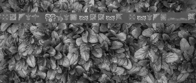 Rough Vignettes Regular Font examples