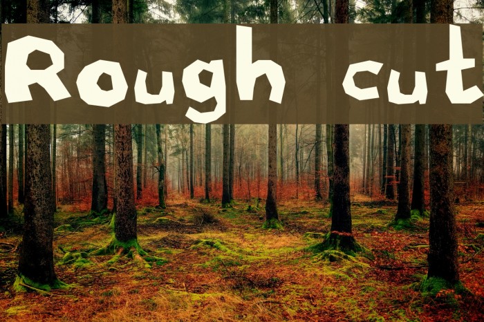 Rough cut Font examples