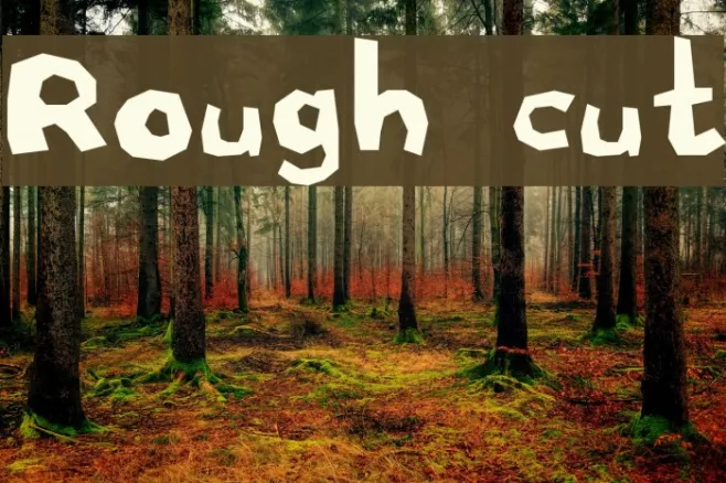 Rough cut Example 3