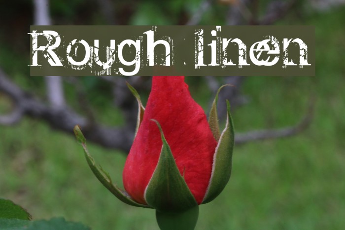 Rough linen Font examples