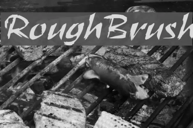 RoughBrush Font examples