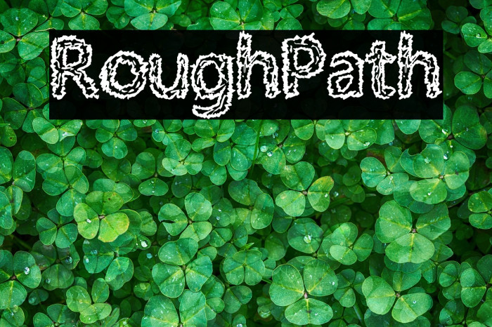 RoughPath Example 1