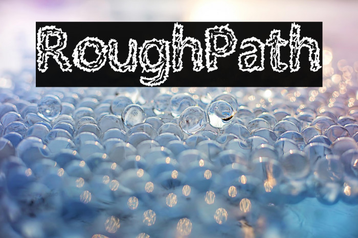RoughPath Example 2