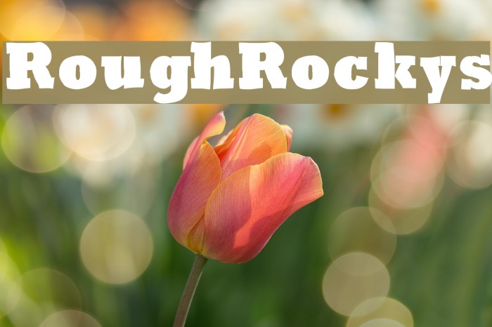 RoughRockys Font examples