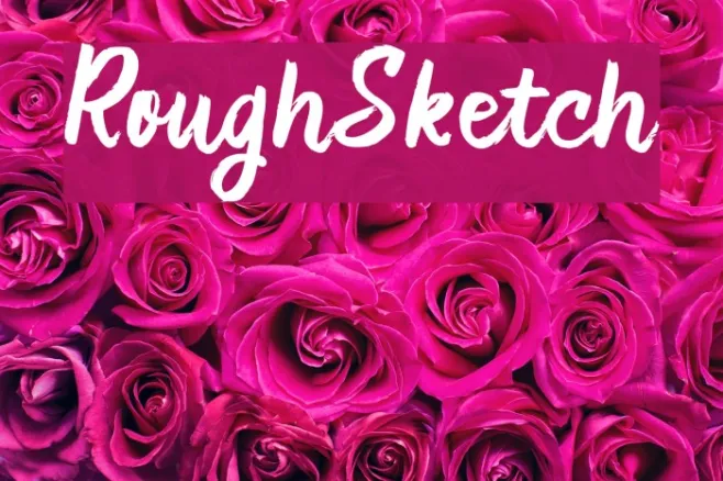 RoughSketch Example 2