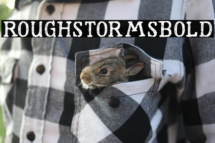 RoughStormsBold Example 2