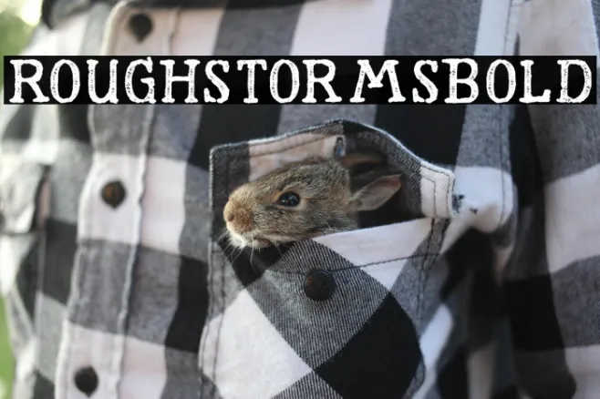 RoughStormsBold Example 2