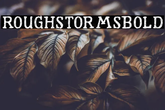 RoughStormsBold Example 3