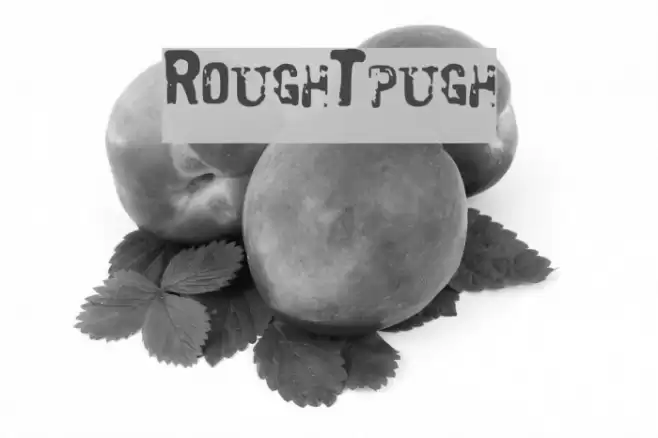 RoughTpugh Font examples