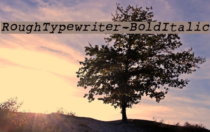 RoughTypewriter-BoldItalic Example 1