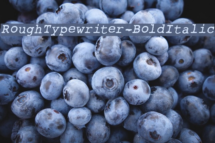 RoughTypewriter-BoldItalic Example 2