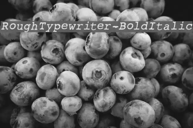 RoughTypewriter-BoldItalic Font examples