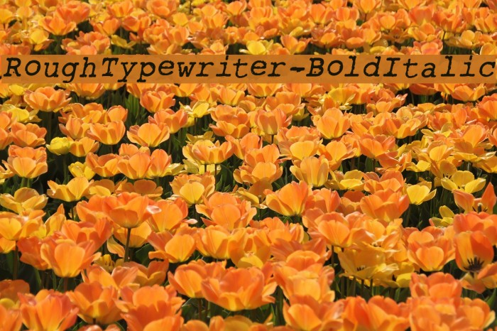 RoughTypewriter-BoldItalic Example 3