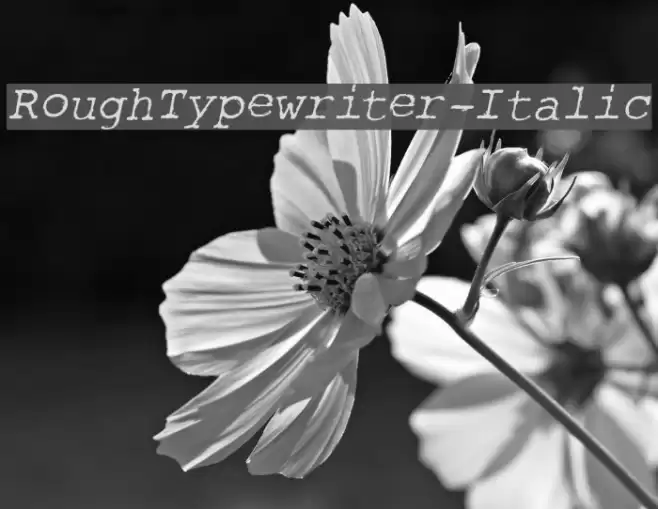 RoughTypewriter-Italic Font examples