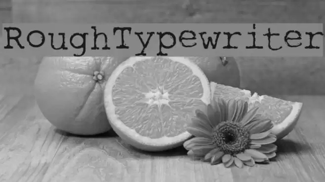 RoughTypewriter Font examples