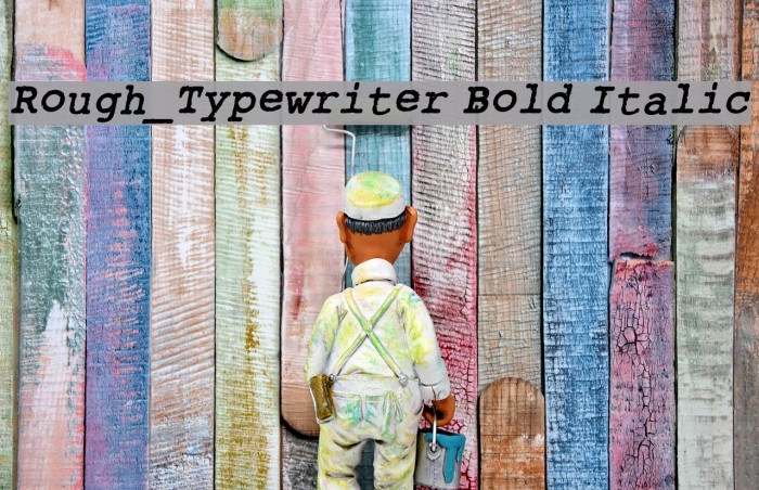 Rough_Typewriter Bold Italic Font examples