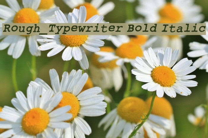 Rough_Typewriter Bold Italic Font examples