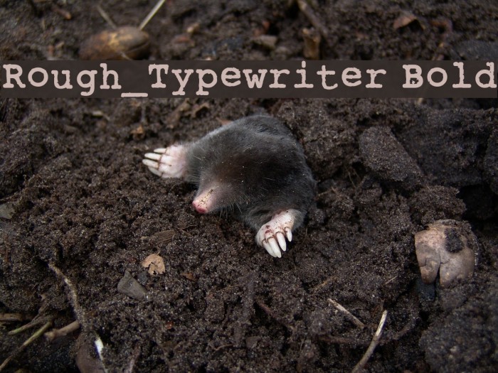 Rough_Typewriter Bold Font examples
