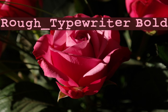 Rough_Typewriter Bold Font examples