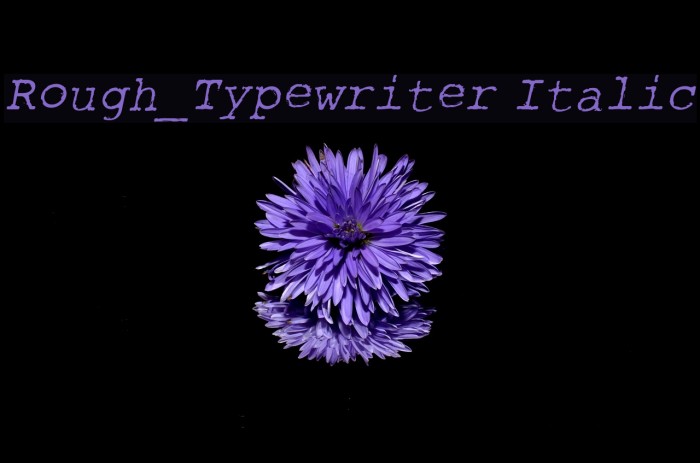Rough_Typewriter Italic Font examples