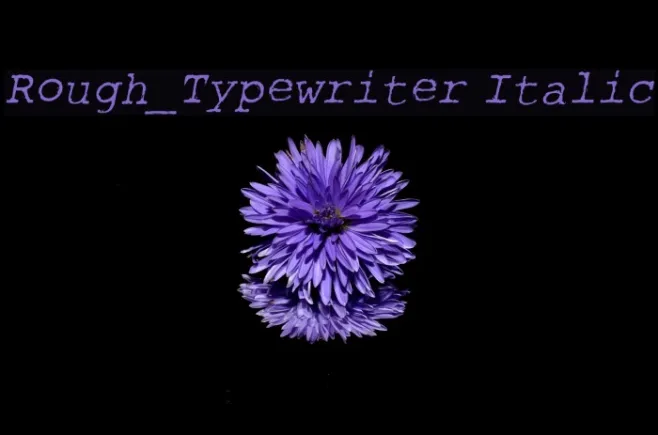 Rough_Typewriter Italic Example 1