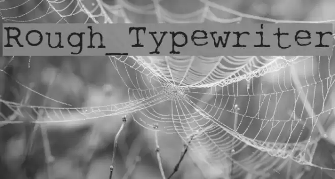 Rough_Typewriter Font examples