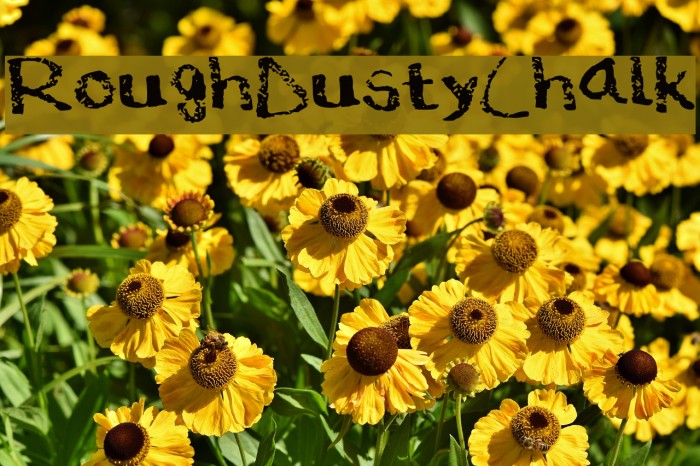 Rough___Dusty_Chalk Example 2