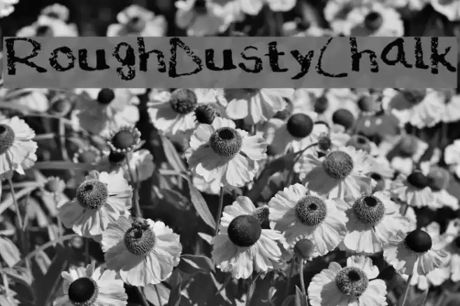 Rough___Dusty_Chalk Font examples