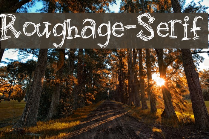 Roughage-Serif Font examples