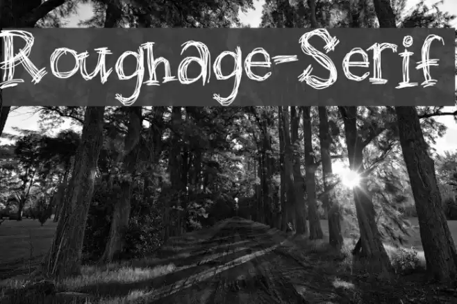 Roughage-Serif フォント examples