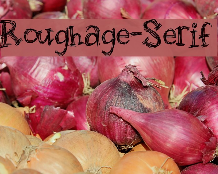 Roughage-Serif Font examples