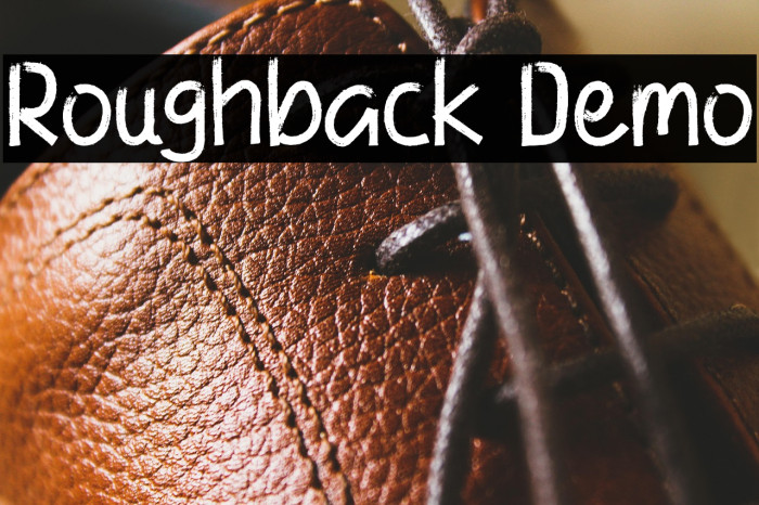 Roughback Demo Example 1