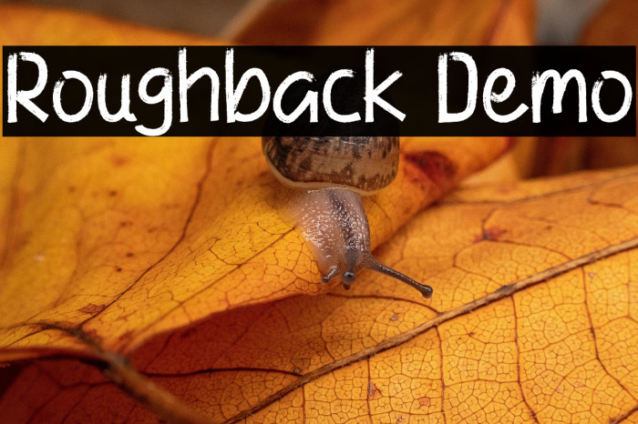 Roughback Demo Example 2