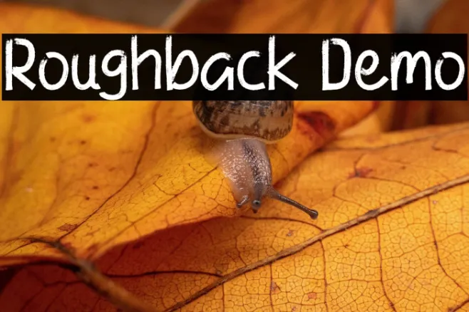 Roughback Demo Example 2