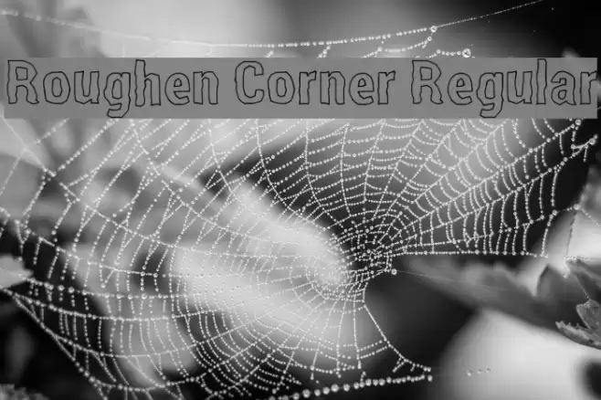 Roughen Corner Regular Font examples